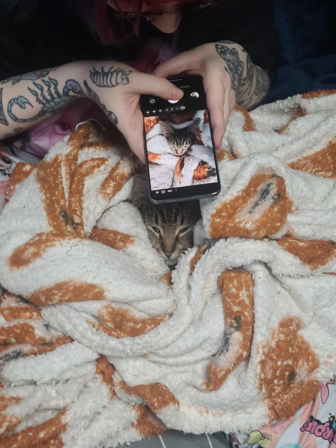 Cat 59