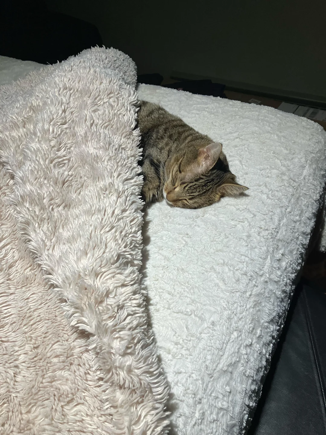 Cat 70